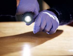 pre-filing investigation