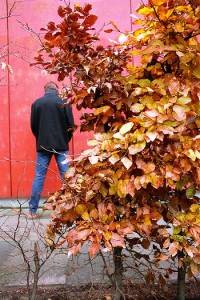 If you did not have the intent to expose yourself to annoy, offend, or sexually arouse anyone, you may not be charged with indecent exposure under California Penal Code 314.