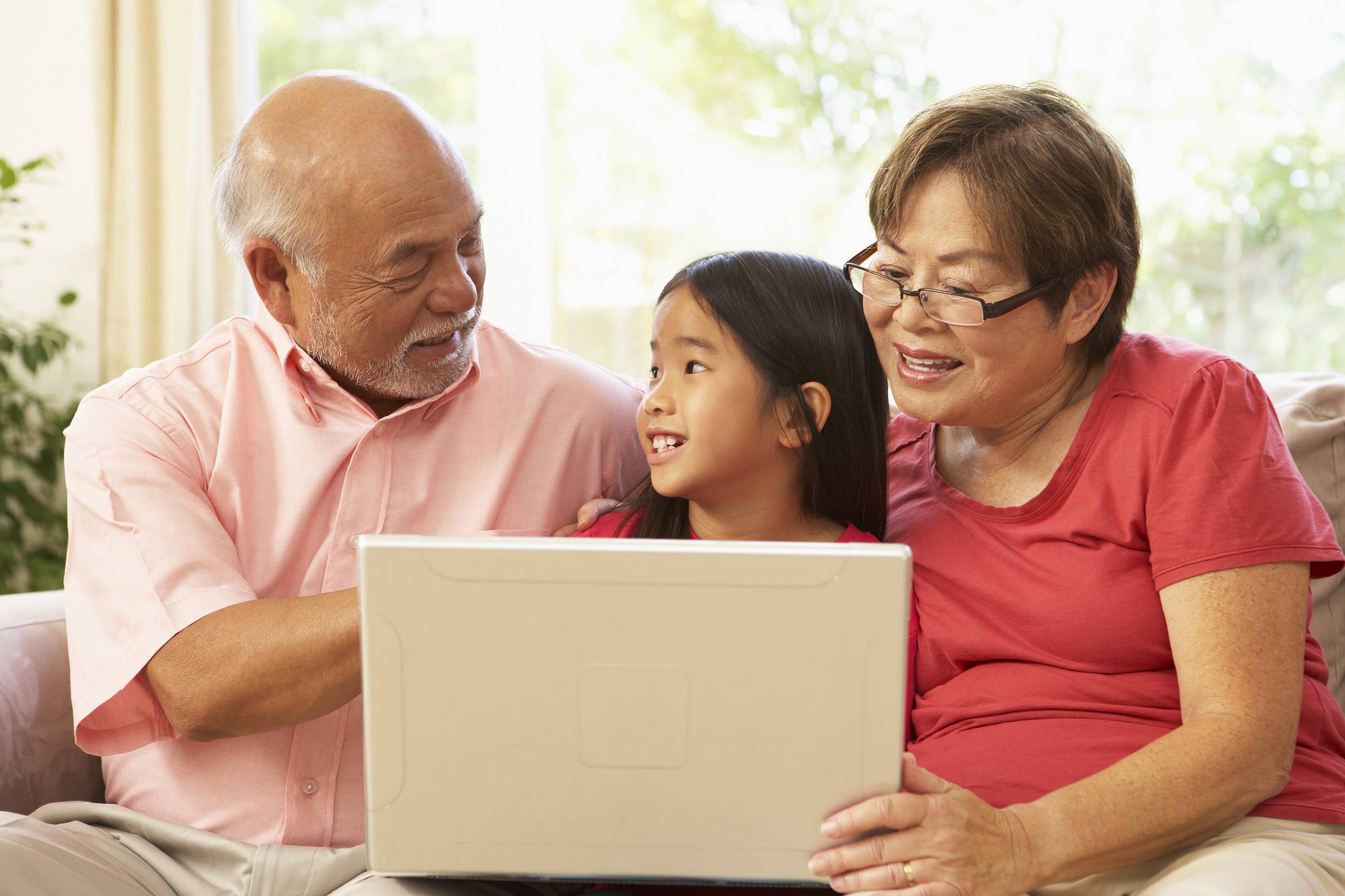 Crime of Financial Elder Abuse