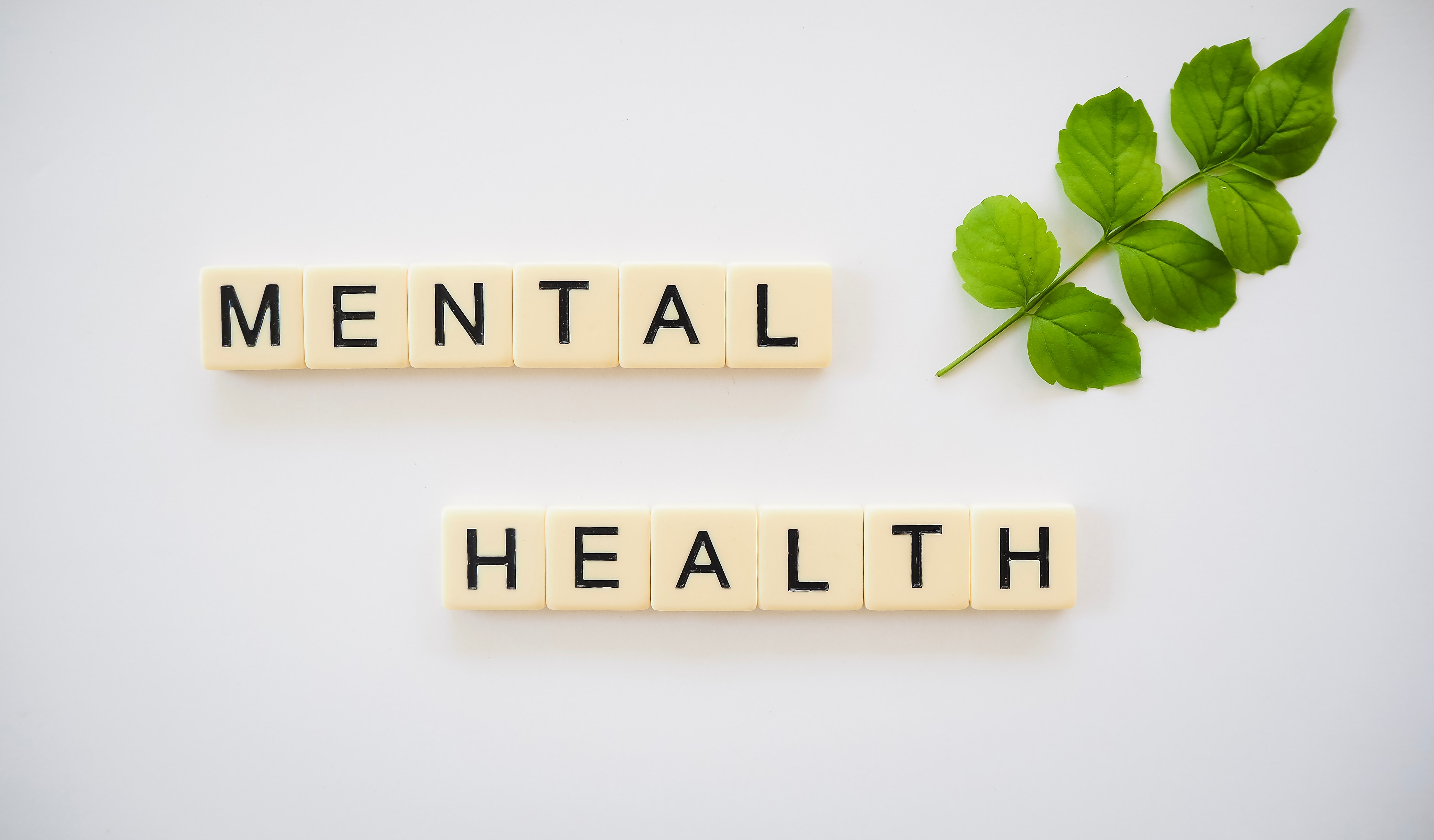 People v. Braden: Applying for Mental Health Diversion